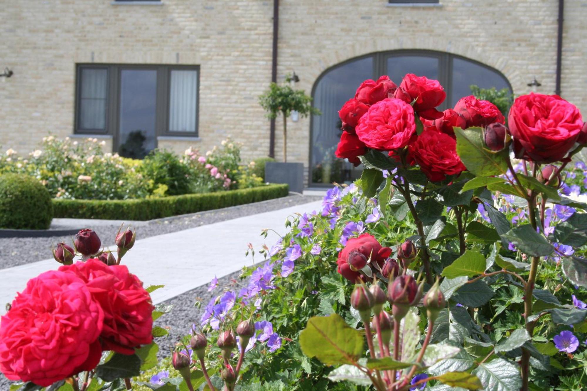 B&B La Vie En Roses Moorsel Ngoại thất bức ảnh