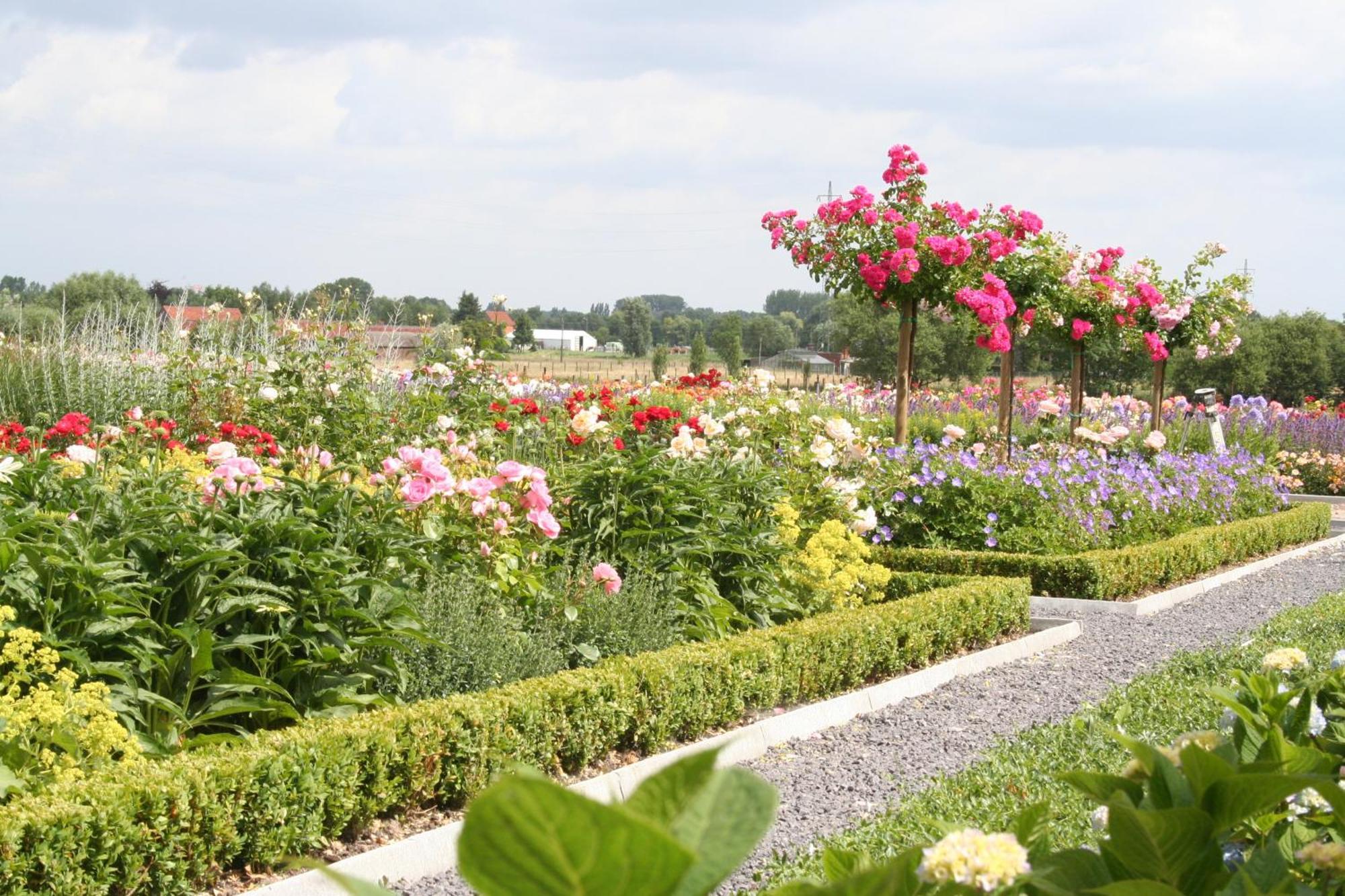 B&B La Vie En Roses Moorsel Ngoại thất bức ảnh