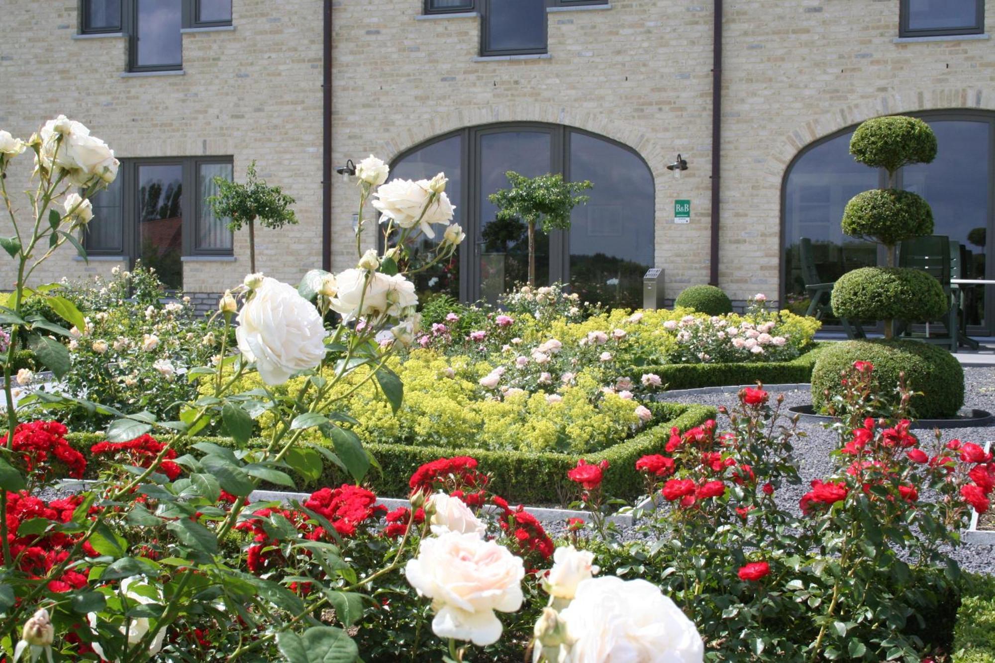 B&B La Vie En Roses Moorsel Ngoại thất bức ảnh